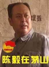 陳毅在茅山線上看_高清完整版線上看_好看的電影