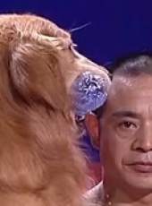 中國好家庭第二季最新一期線上看_全集完整版高清線上看_好看的綜藝