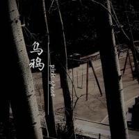 烏鴉專輯_粉鬼烏鴉最新專輯
