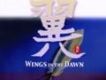 翼 Wings In The Dawn