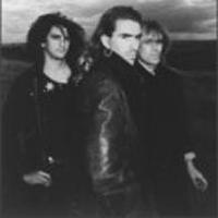 New Model Army圖片照片_New Model Army