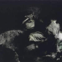 Gruntsplatter圖片照片_Gruntsplatter