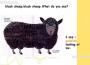Kiss My Sweet Apocalypse專輯_Black SheepKiss My Sweet Apocalypse最新專輯