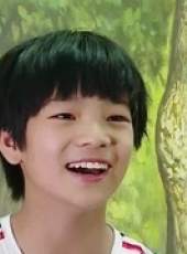 山東衛視上陣父子兵最新一期線上看_全集完整版高清線上看_好看的綜藝