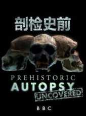 BBC：剖檢史前線上看_全集高清完整版線上看_分集劇情介紹_好看的電視劇