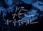 川青歌曲歌詞大全_川青最新歌曲歌詞