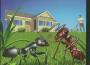 The Electric Ant