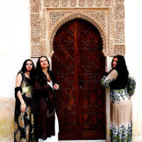 Al-Andaluz Project圖片照片_Al-Andaluz Project