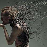 The Beautiful Diseas圖片照片_The Beautiful Diseas