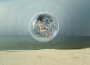 One Day in Cocoon專輯_MindexOne Day in Cocoon最新專輯
