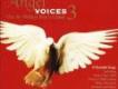 Angel Voices天使之音3
