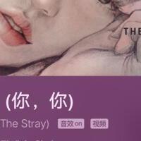 The Stray圖片照片_照片寫真