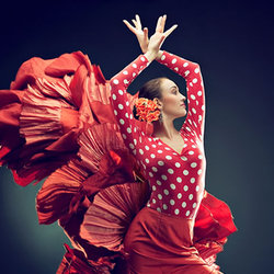 Flamenco圖片照片_Flamenco