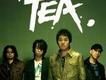 茶樂團歌曲歌詞大全_茶樂團最新歌曲歌詞