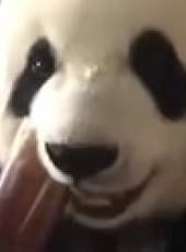 萌次元最新一期線上看_全集完整版高清線上看_好看的綜藝