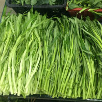 通菜（靈鷲宮）圖片照片_照片寫真