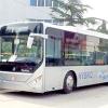 LocaI Bus圖片照片