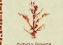 Autumn Colors專輯_KuroisoulAutumn Colors最新專輯