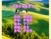 伊啦啦歌曲歌詞大全_伊啦啦最新歌曲歌詞
