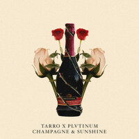 Champagne & Sunshine專輯_PLVTINUMChampagne & Sunshine最新專輯