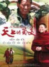 江疏影演過的電影電視劇線上看_影視作品大全_好看的明星