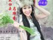 馬菀營歌曲歌詞大全_馬菀營最新歌曲歌詞