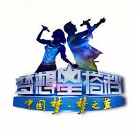 夢想星搭檔圖片照片_夢想星搭檔