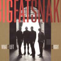 Big Fat Snake圖片照片_Big Fat Snake
