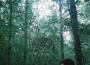 Love Exposure專輯_CelerLove Exposure最新專輯