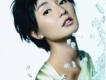 張曼玉歌曲歌詞大全_張曼玉最新歌曲歌詞