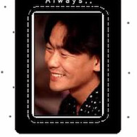 金光石圖片照片_金光石