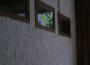 吳與恆歌曲歌詞大全_吳與恆最新歌曲歌詞