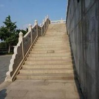 道蓮圖片照片_道蓮
