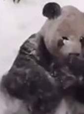萌次元最新一期線上看_全集完整版高清線上看_好看的綜藝