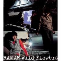 Wild Flowers專輯_RAMARWild Flowers最新專輯