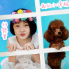 劉懿萱歌曲歌詞大全_劉懿萱最新歌曲歌詞