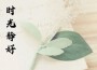 時光靜好專輯_顧彬時光靜好最新專輯