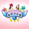 董夏娟歌曲歌詞大全_董夏娟最新歌曲歌詞