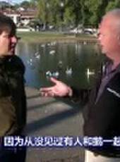 原創精選 2014最新一期線上看_全集完整版高清線上看_好看的綜藝