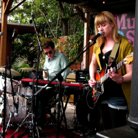 Wye Oak圖片照片_Wye Oak