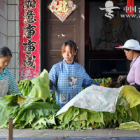 廖昌水&趙一頤圖片照片_廖昌水&趙一頤