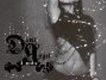 Vol. 2 - Dark Angel