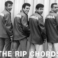 The Rip Chords圖片照片_The Rip Chords