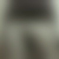 Chen.rmx圖片照片_Chen.rmx