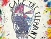 Cage the Elephant圖片照片