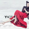 Ynot?圖片照片