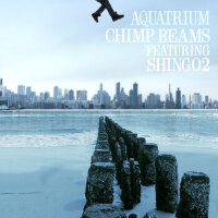 Chimp Beams圖片照片_Chimp Beams