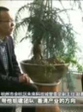 新聞聯播最新一期線上看_全集完整版高清線上看_好看的綜藝
