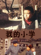 王菁華演過的電影電視劇線上看_影視作品大全_好看的明星