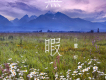 靈昕歌曲歌詞大全_靈昕最新歌曲歌詞